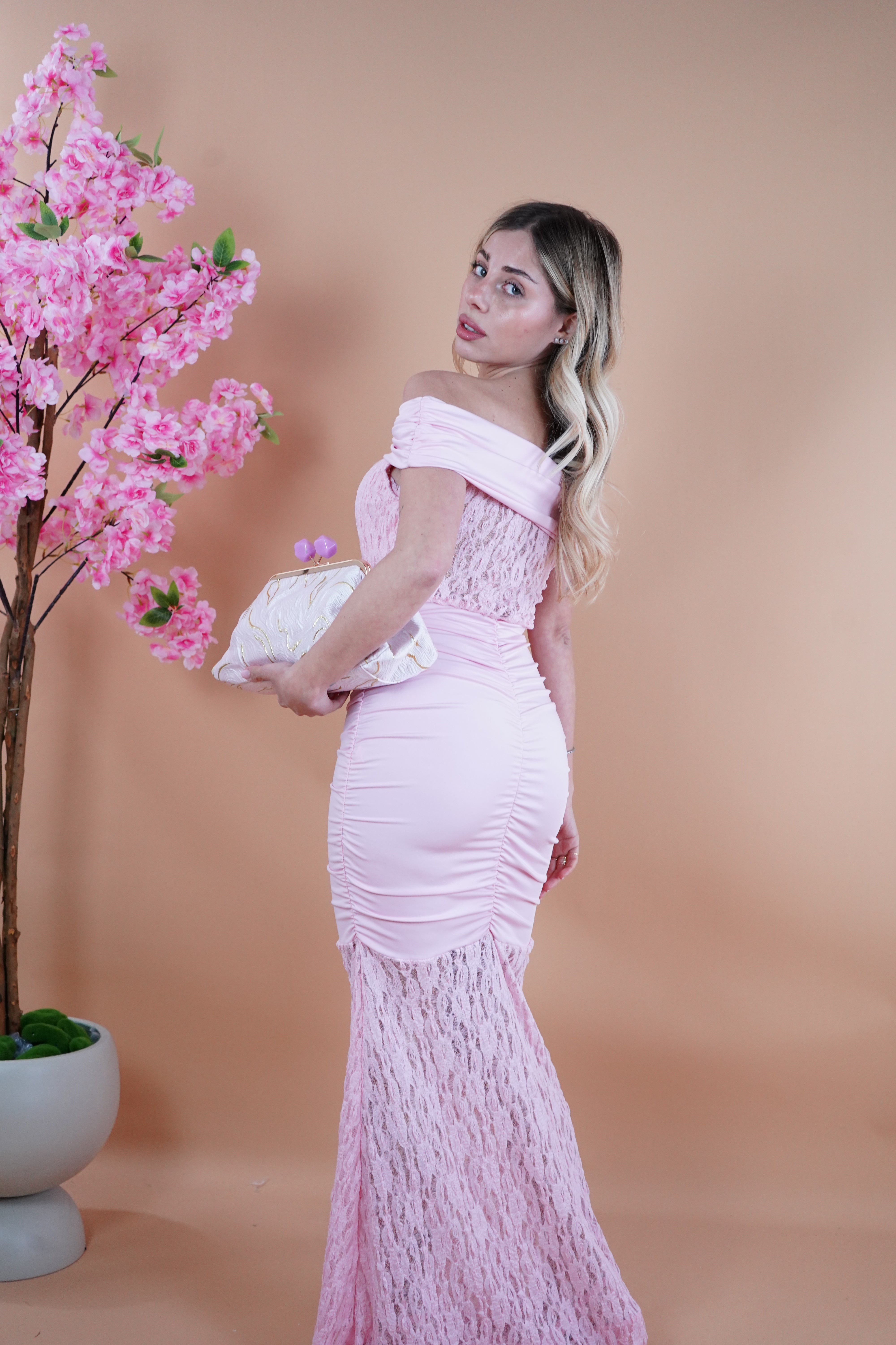 LONG DRESS DIANA ROSA
